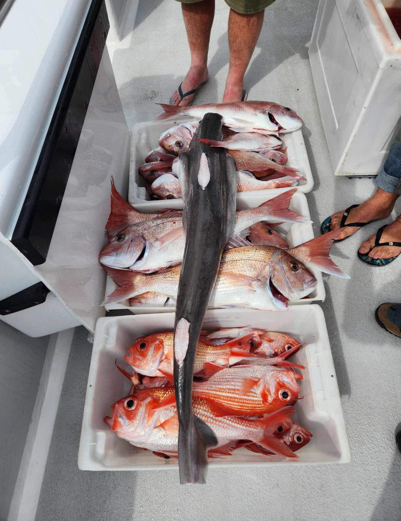Snapper Fish caught fishing off Adelaide - Southern Fishing Charters